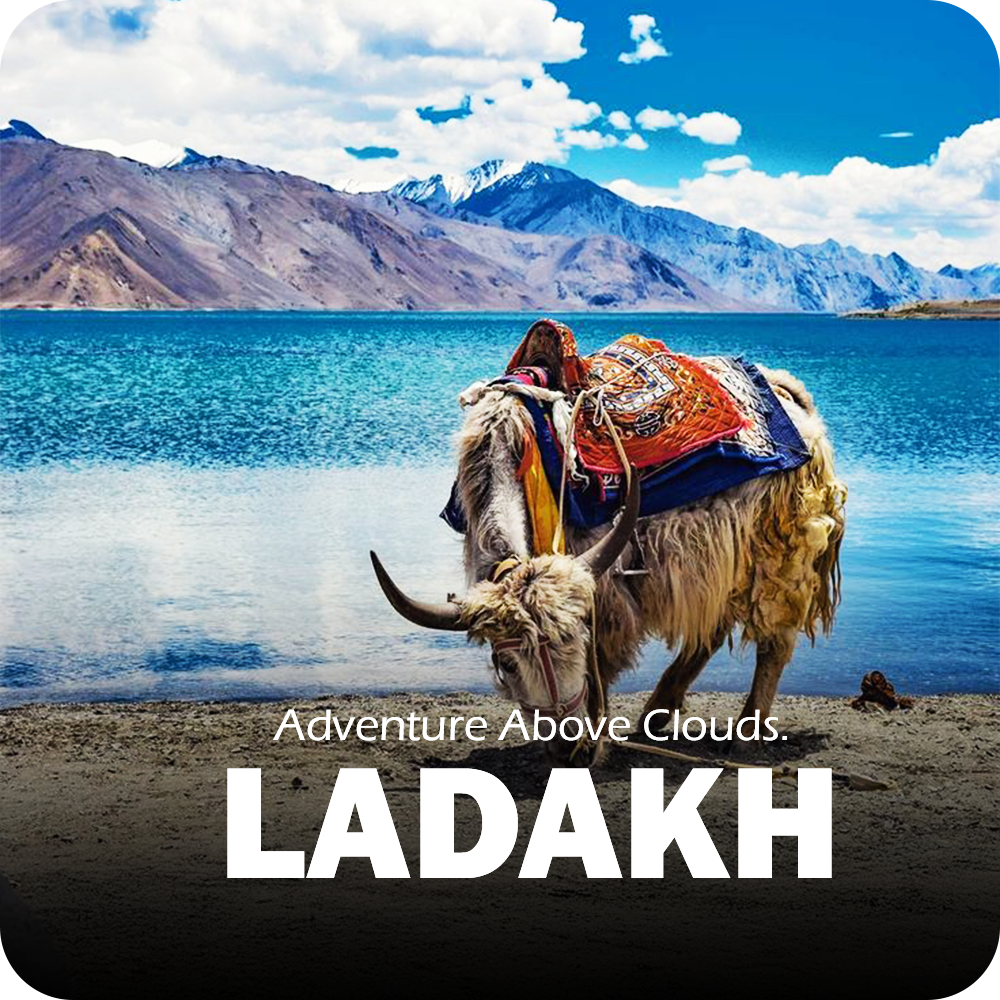 A vibrant scene from Ladakh